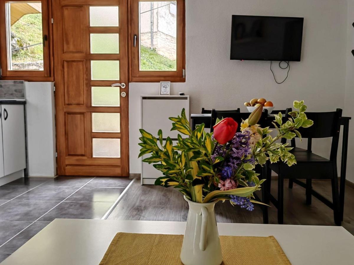 Appartement Ive Andrica 3 à Višegrad Extérieur photo